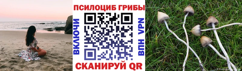 Псилоцибиновые грибы ЛСД  Боровск 